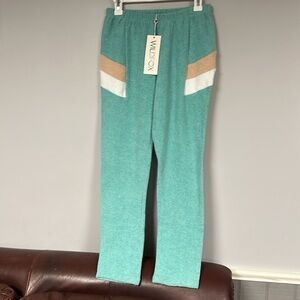 Wildfox Sport Stripe Knox Lounge Jogger Sweatpants in Trance Teal, S NWT!